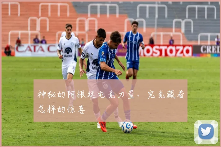 神秘的阿根廷电竞力量，究竟藏着怎样的惊喜
